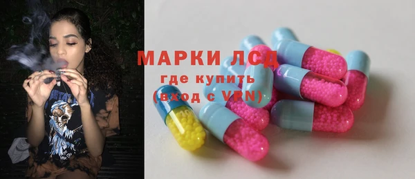 винт Алзамай