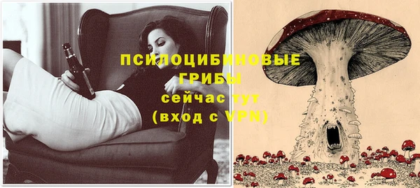 таблы Арсеньев
